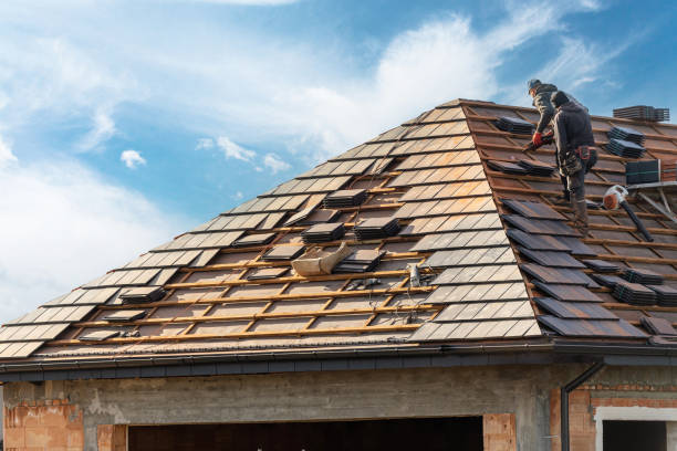 Best Roof Maintenance and Cleaning  in Senath, MO